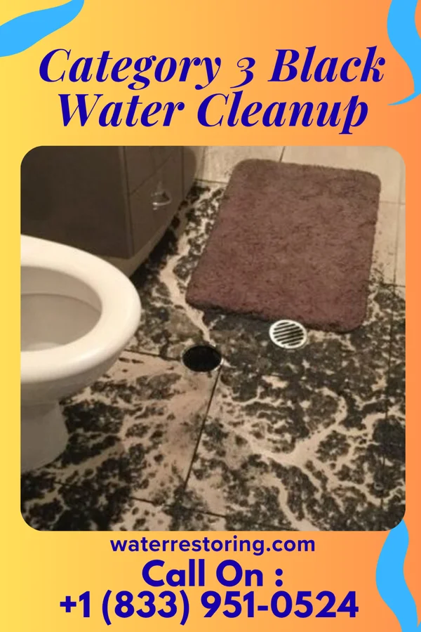 Category 3 Black Water Cleanup in Jermyn, PA