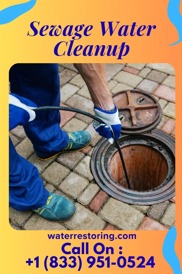 Sewage Water Cleanup in Jermyn, PA